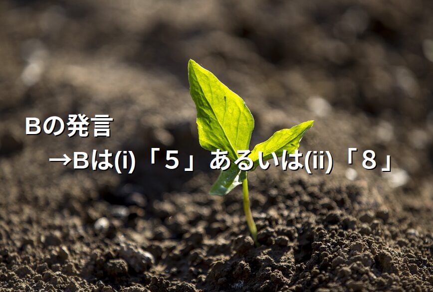 解き方要約：Bの区画は５か８