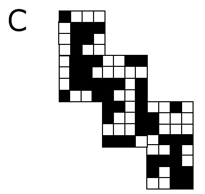 展開図C