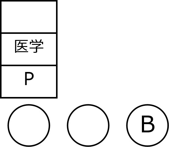 「Bの前前日はP班の医学」をピースで表現